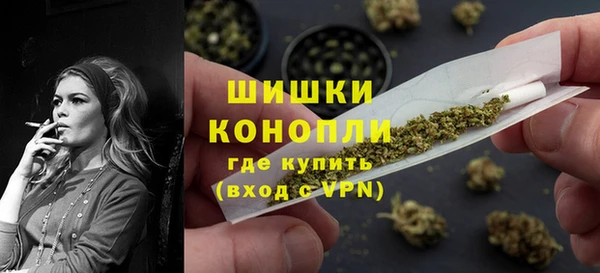 трава Аркадак