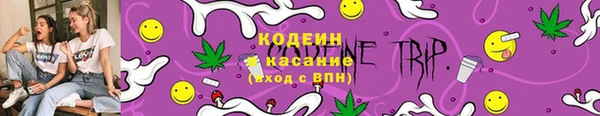 трава Аркадак