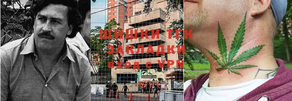 трава Аркадак