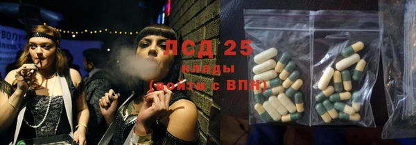 трава Аркадак