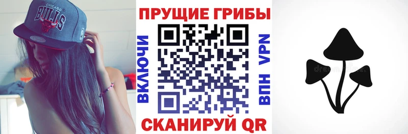 цены наркотик  Сердобск  Псилоцибиновые грибы ЛСД 
